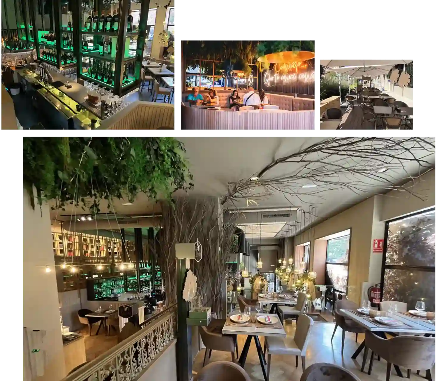 Visita Nuestro Restaurante Asturiano en el Centro de Madrid
